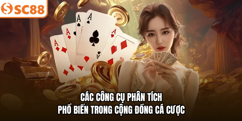 Các công cụ phân tích phổ biến trong cộng đồng cá cược