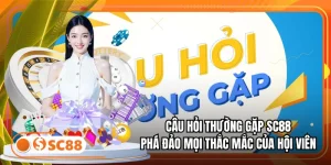 Câu Hỏi Thường Gặp SC88: Phá Đảo Mọi Thắc Mắc Của Hội Viên