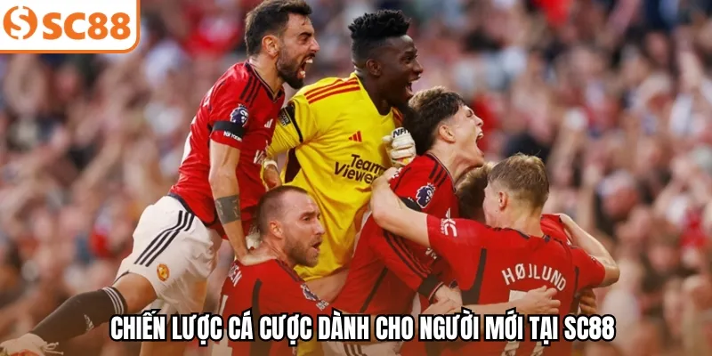 Chiến lược cá cược dành cho người mới tại SC88