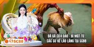 Đá Gà Cựa Dao - Bí Mật Từ Các Sư Kê Lão Làng Tại SC88