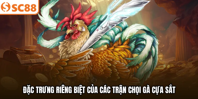 Đặc trưng riêng biệt của các trận chọi gà cựa sắt