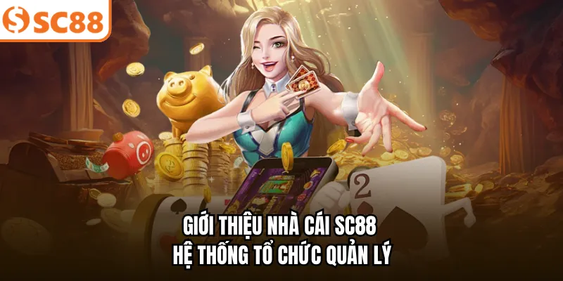 Giới thiệu nhà cái SC88 - Hệ thống tổ chức quản lý