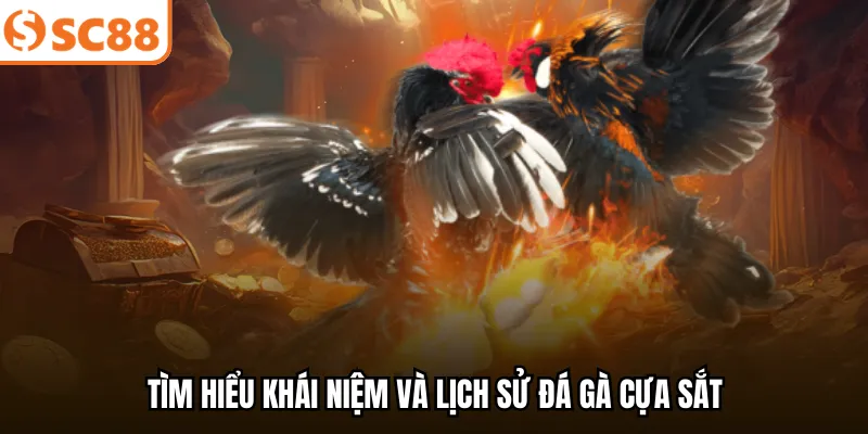 Tìm hiểu khái niệm và lịch sử đá gà cựa sắt